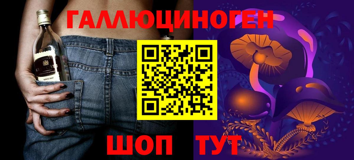 Псилоцибиновые грибы Psilocybe Ессентуки